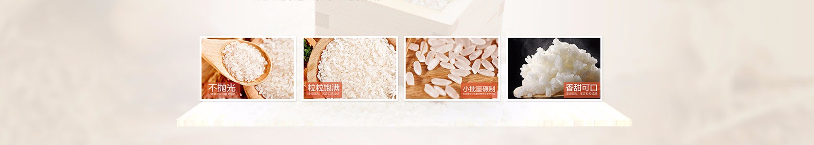 北京市朝阳区华信投资有限公司